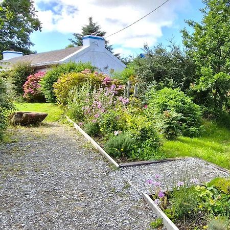 The Rockhouse - Cosy Stone Built Thatch Cottage Dungloe Exterior photo